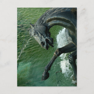 Carte Postale Fontaine de Neptune, Washington DC