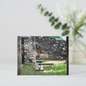 Carte Postale Fontaine en marbre de la cour Pompei (Debout devant)