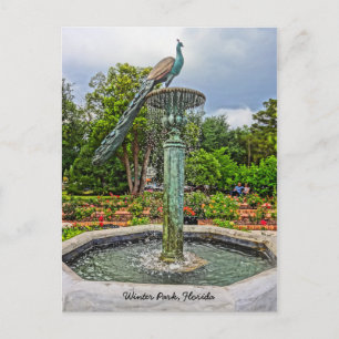 Carte Postale Fontaine Peacock & Jardin Rose dans le parc d'hive