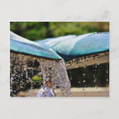 Carte Postale Fontaines À L'Aquarium Birch À La Jolla (Devant)