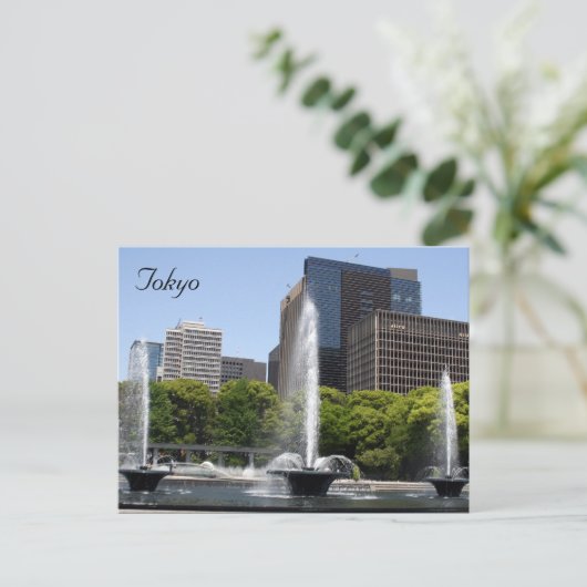 Carte Postale fontaines de tokyo (Debout devant)