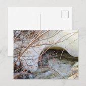 Carte Postale Fonte Glacée d'Hiver (Devant / Derrière)