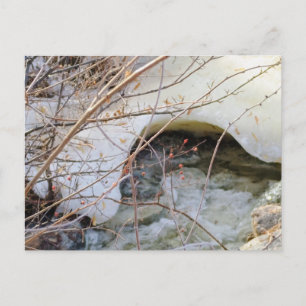 Carte Postale Fonte Glacée d'Hiver