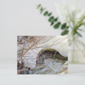 Carte Postale Fonte Glacée d'Hiver (Debout devant)