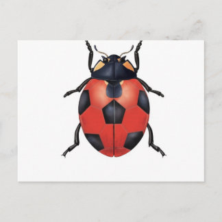 Carte Postale Football de Ladybug