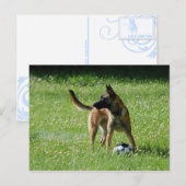 Carte Postale Football Malinois (Devant / Derrière)