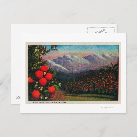 Carte Postale Foothill Orange Grove in the WinterState (Devant / Derrière)