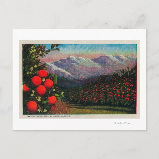 Carte Postale Foothill Orange Grove in the WinterState (Devant)