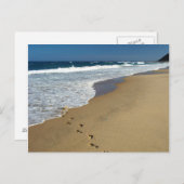 Carte Postale Footprints On Beach, Mabibi, Thongaland (Devant / Derrière)