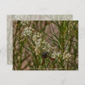 Carte Postale Forager du Sud-Ouest (Devant / Derrière)