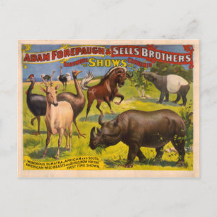 Carte Postale Forepaugh et vendre des animaux merveilleux Poster