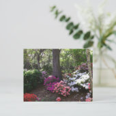 Carte Postale Forest and Flowers Postcard (Debout devant)