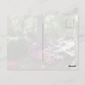 Carte Postale Forest and Flowers Postcard (Dos)