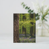 Carte Postale Forest | Bluebells en Belgique (Debout devant)