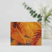 Carte postale Forest Encounter (Debout devant)