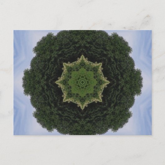 Carte Postale Forest Mandala (Devant)