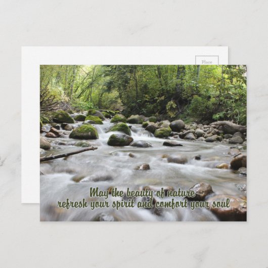 Carte postale Forest Stream (Devant / Derrière)