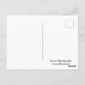 Carte Postale Forest Valley Vue sur Castle Mound (Dos)