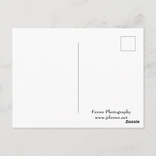 Carte Postale Forest Valley Vue sur Castle Mound (Dos)