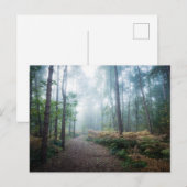 Carte Postale Forests | Dark Foggy Woods Norfolk UK (Devant / Derrière)