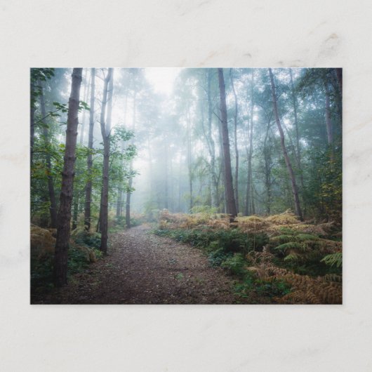 Carte Postale Forests | Dark Foggy Woods Norfolk UK (Devant)