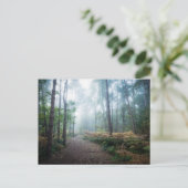 Carte Postale Forests | Dark Foggy Woods Norfolk UK (Debout devant)