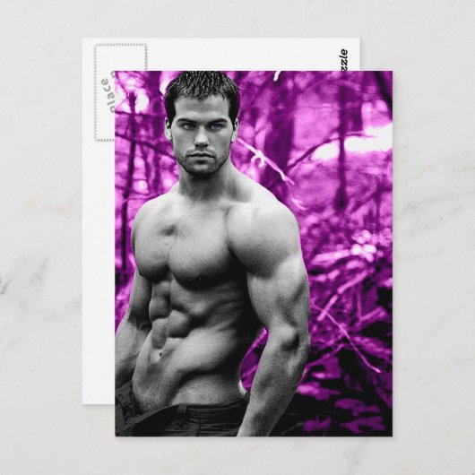 Carte Postale Forêt (Devant / Derrière)