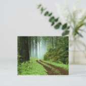 Carte Postale Forêt (Debout devant)