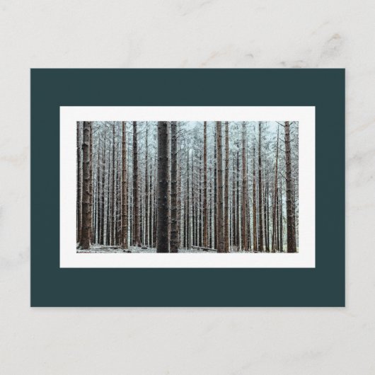 Carte Postale Forêt (Devant)