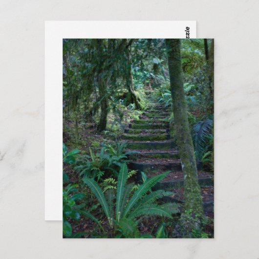 Carte Postale Forêt (Devant / Derrière)