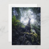 Carte Postale Forêt | Anaga Parc rural Îles Canaries (Devant / Derrière)