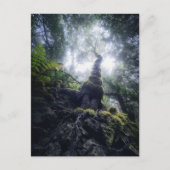 Carte Postale Forêt | Anaga Parc rural Îles Canaries (Devant)