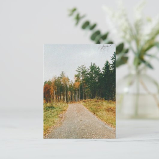 Carte Postale Forêt automnale suédoise (Debout devant)