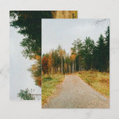 Carte Postale Forêt automnale suédoise (Devant / Derrière)