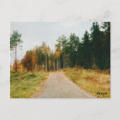 Carte Postale Forêt automnale suédoise (Dos)