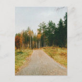 Carte Postale Forêt automnale suédoise (Devant)