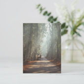 Carte Postale Forêt | Bois (Debout devant)
