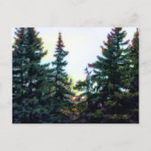 Carte Postale Forêt boréale Arbres Canada Artistes Artistes Colo (Devant)