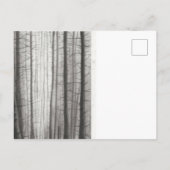 Carte Postale Forêt brûlée (Dos)