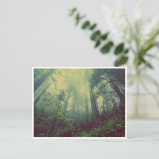 Carte Postale Forêt calme (Debout devant)