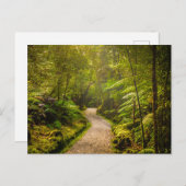 Carte Postale Forêt | Chemin De Marche Dans La Forêt (Devant / Derrière)