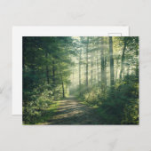 Carte Postale Forêt | Chemin forestier Hambourg Allemagne (Devant / Derrière)