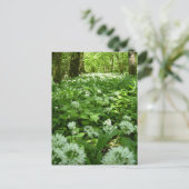 Carte Postale Forêt d'ail sauvage (Debout devant)