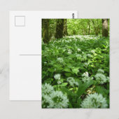 Carte Postale Forêt d'ail sauvage (Devant / Derrière)