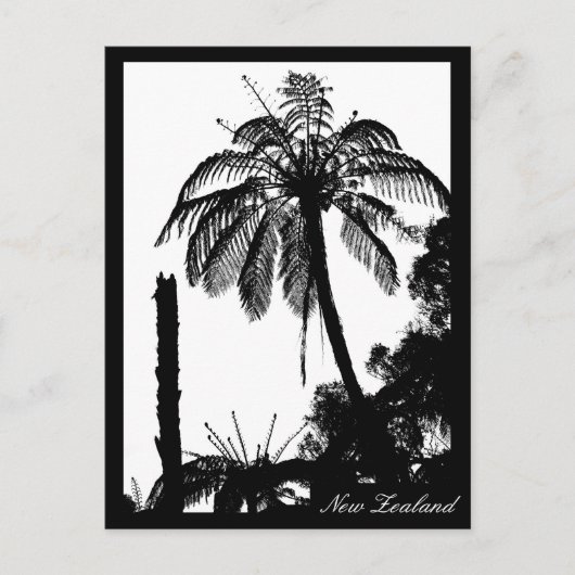 Carte Postale Forêt d'arbres, Ferme d'argent, nature Nouvelle-Zé (Devant)