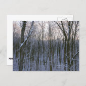 Carte Postale Forêt d'arbres neigeux (Devant / Derrière)