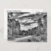 Carte Postale Forêt d'argent (Devant / Derrière)