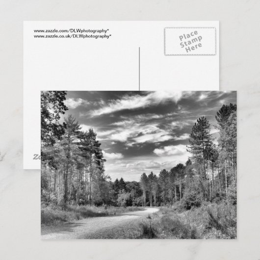 Carte Postale Forêt d'argent (Devant / Derrière)