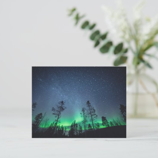 Carte Postale Forêt d'Aurora (Debout devant)