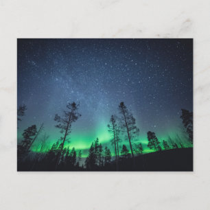 Carte Postale Forêt d'Aurora